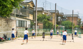 清远岭南职业技术学院，探索与成长的教育摇篮