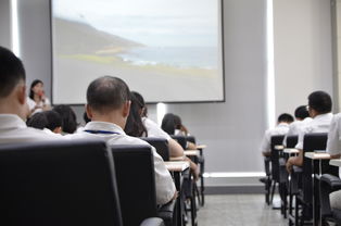 日照职业技术学院教务管理系统，现代化教学管理的新标杆