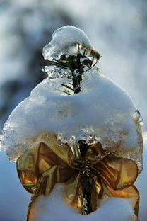 冬奥之梦，冰雪之上的壮丽篇章